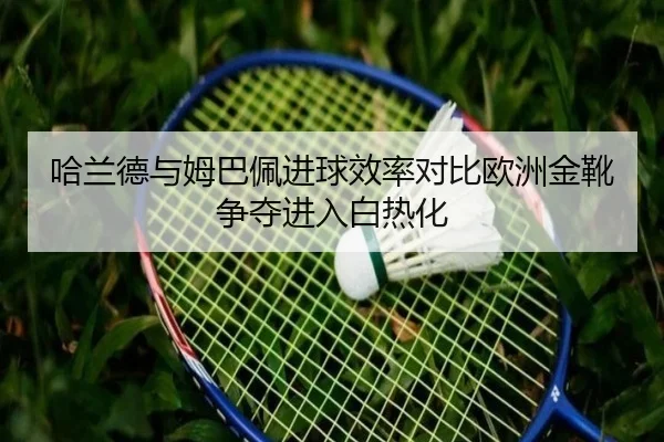 哈兰德与姆巴佩进球效率对比欧洲金靴争夺进入白热化